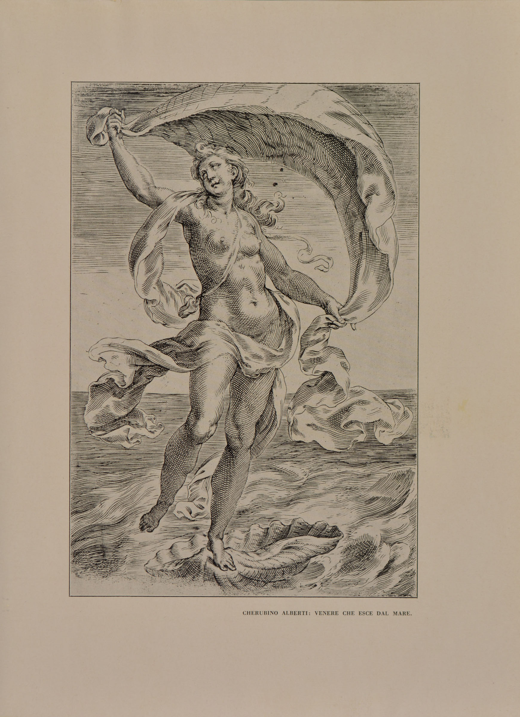 pagina sinistra